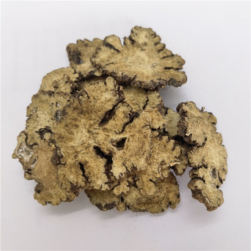 Chuanxiong Herb Factory - High-quality Chinese Herb Complete