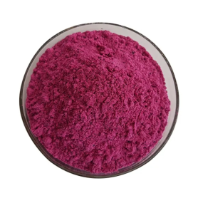 Dragon Fruit Powder Factory - Red Pitaya Freeze-dried