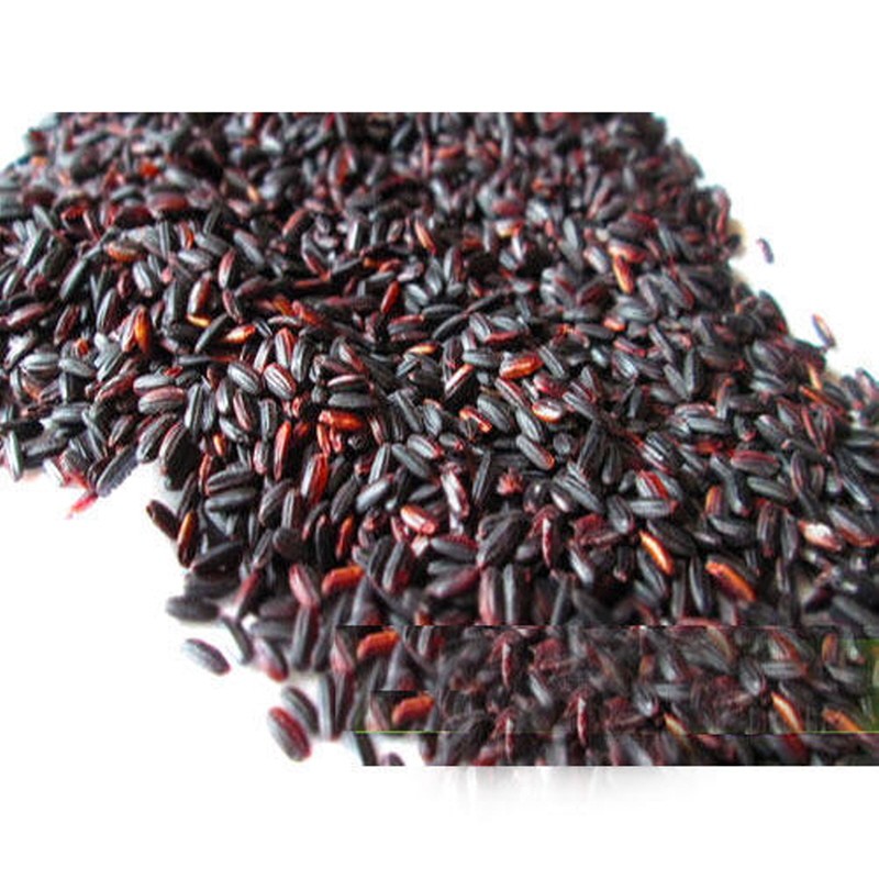 Wild Rice Supplier - Canada Black High Benefits