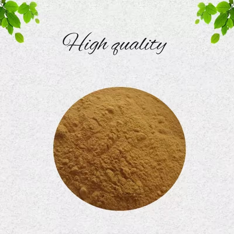 Cactus Extract Supplier - Opuntia Ficus-indica Powder