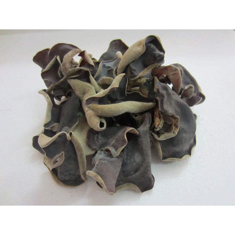 Black Fungus Manufacturer - High Dryness Good Preservation