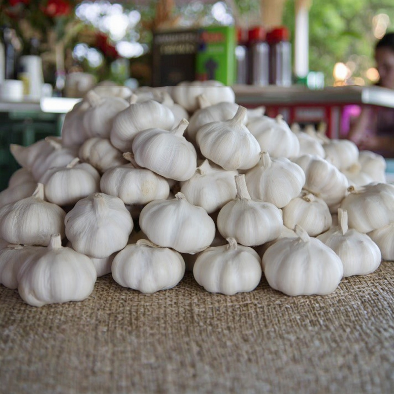 Garlic Manufacturer - Mixed Spices Fresh Dry Economical