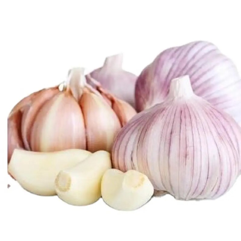 Garlic Manufacturer - Mixed Spices Fresh Dry Economical