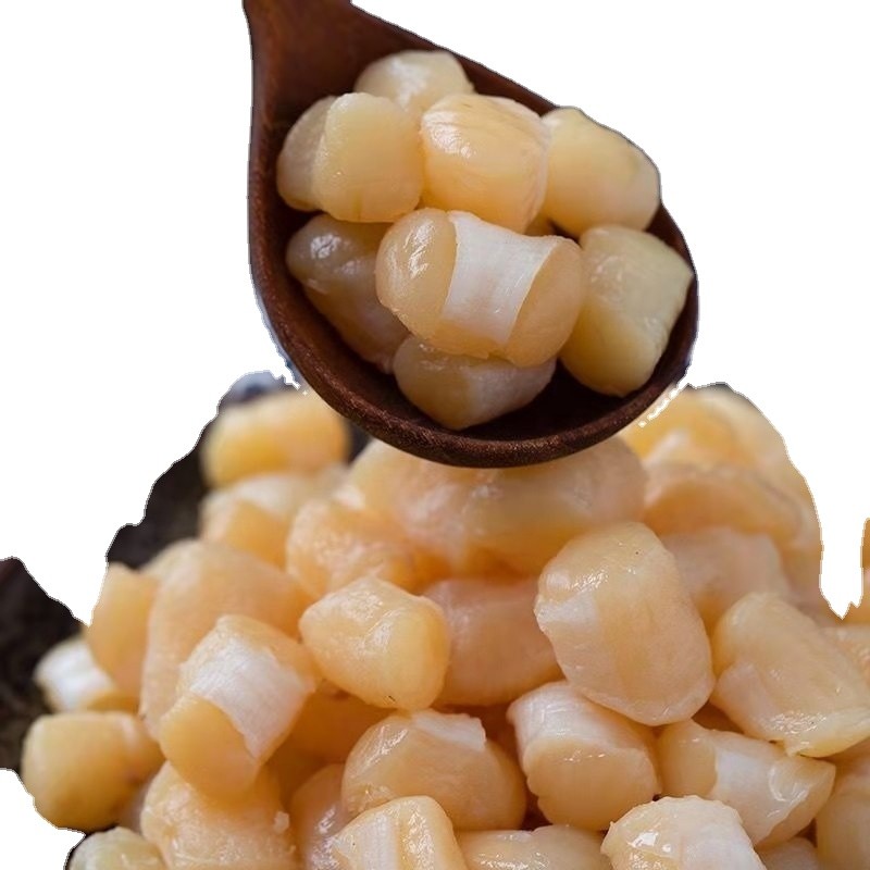 Scallop Manufacturer - Nourishing Seafood Natural Sale