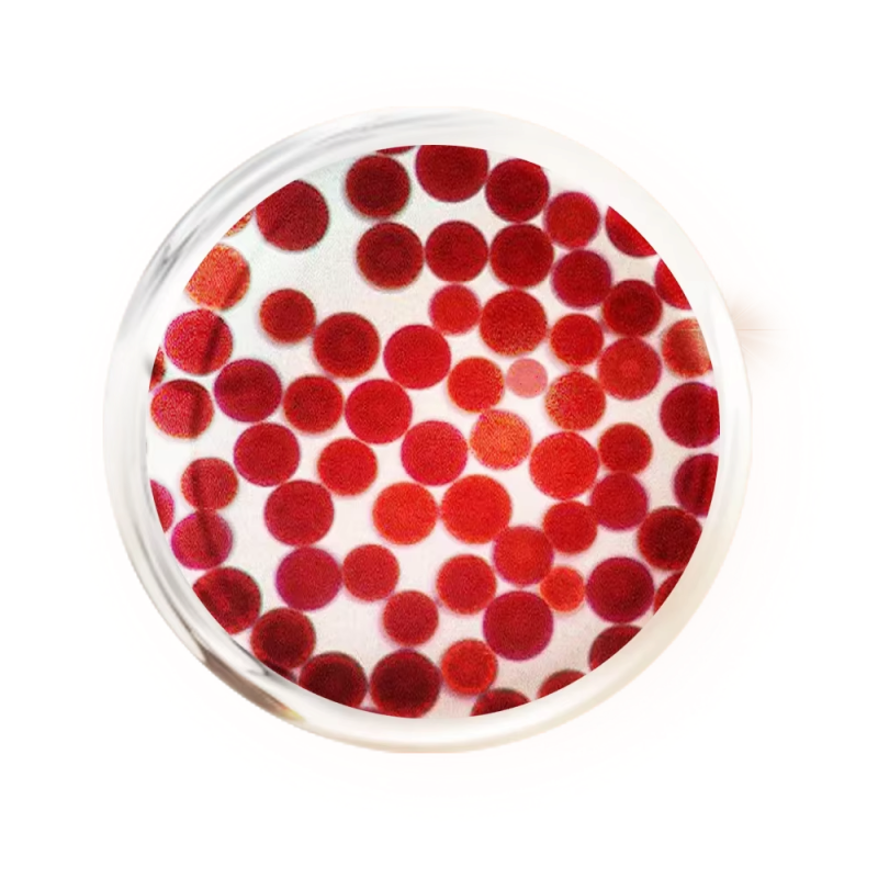 Astaxanthin Powder Manufacturer - 10% Pure Skin Care