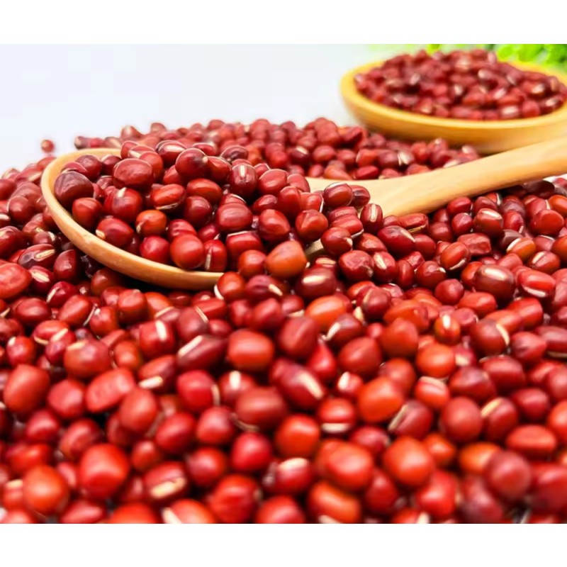 Adzuki Beans Factory - Export Grade Small Red Sale