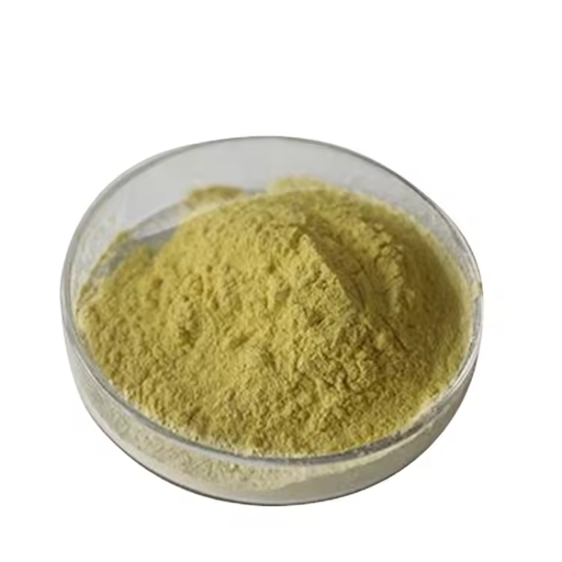 American Ginseng Supplier - High Quality Extract Powder