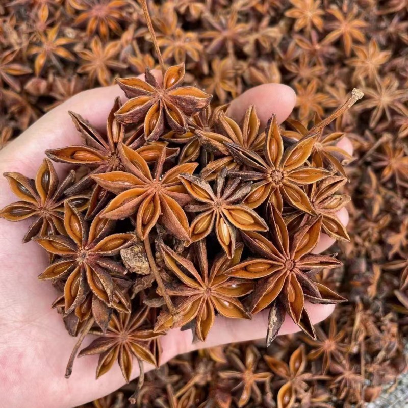 Star Anise Supplier - Sulfur Free Premium Anise OEM