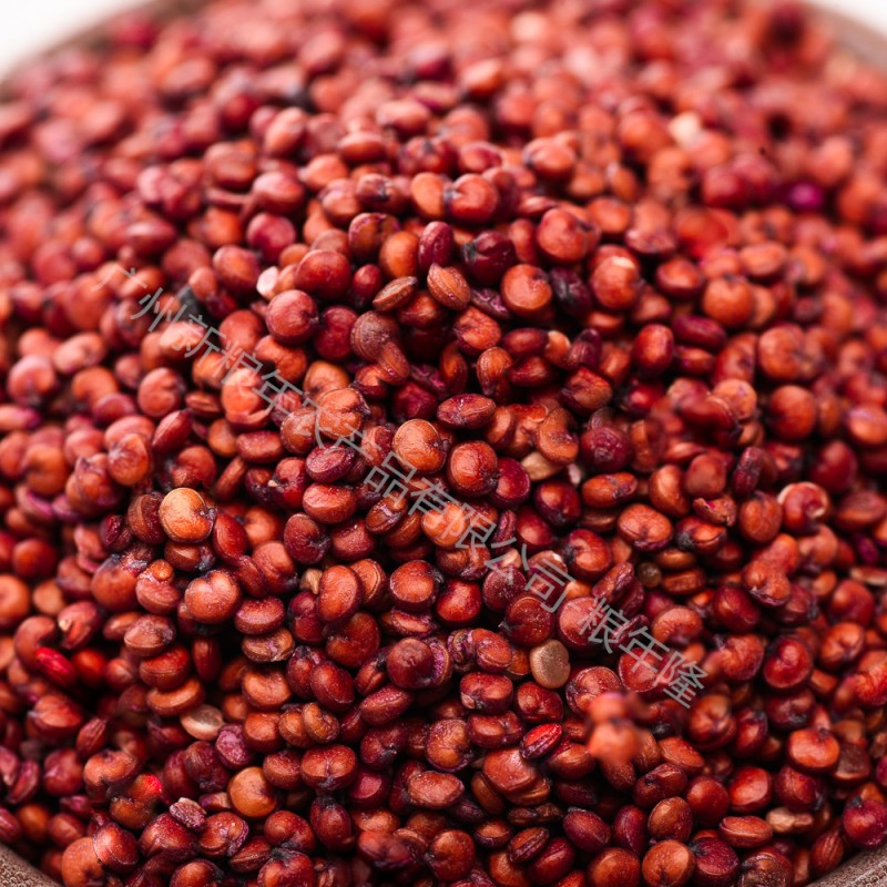 Red Quinoa Supplier - Fashion Seeds Branded Sale