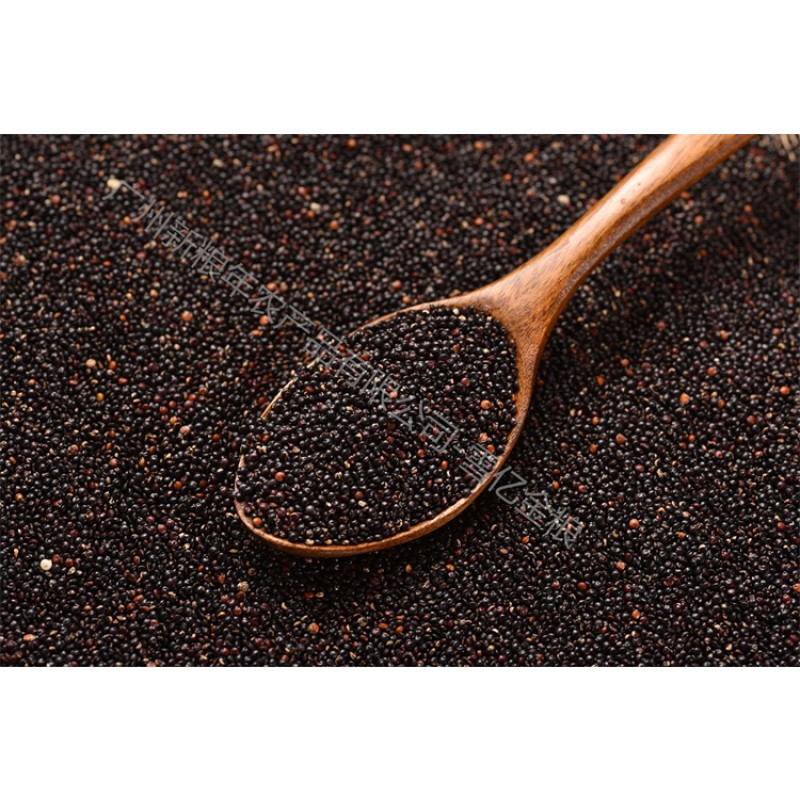 Quinoa Rice Manufacturer - Puffed Tri Color Superior Quality