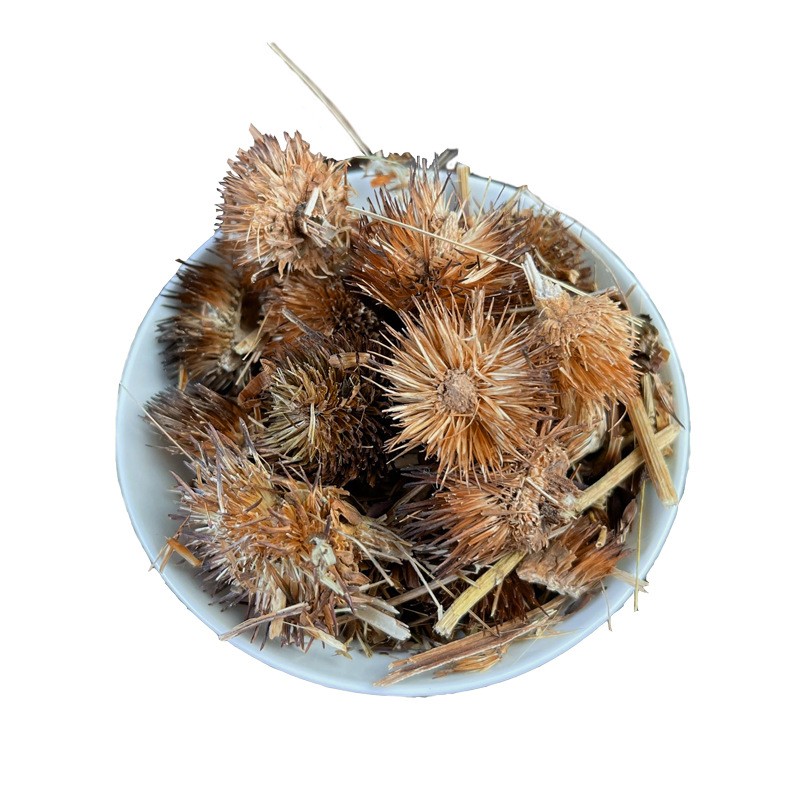 Echinacea Root Tea Supplier - Wildcrafted Immune Health Herbal