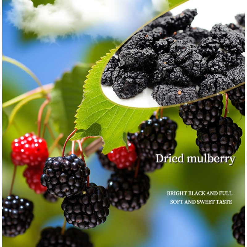 Mulberry Tea Manufacturer - Sweet Black Infused Flavor