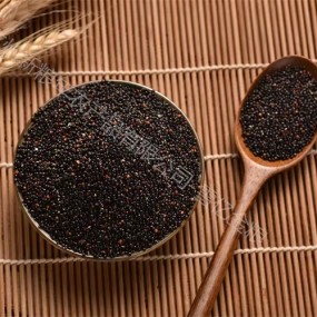 Quinoa Rice Manufacturer - Puffed Tri Color Superior Quality