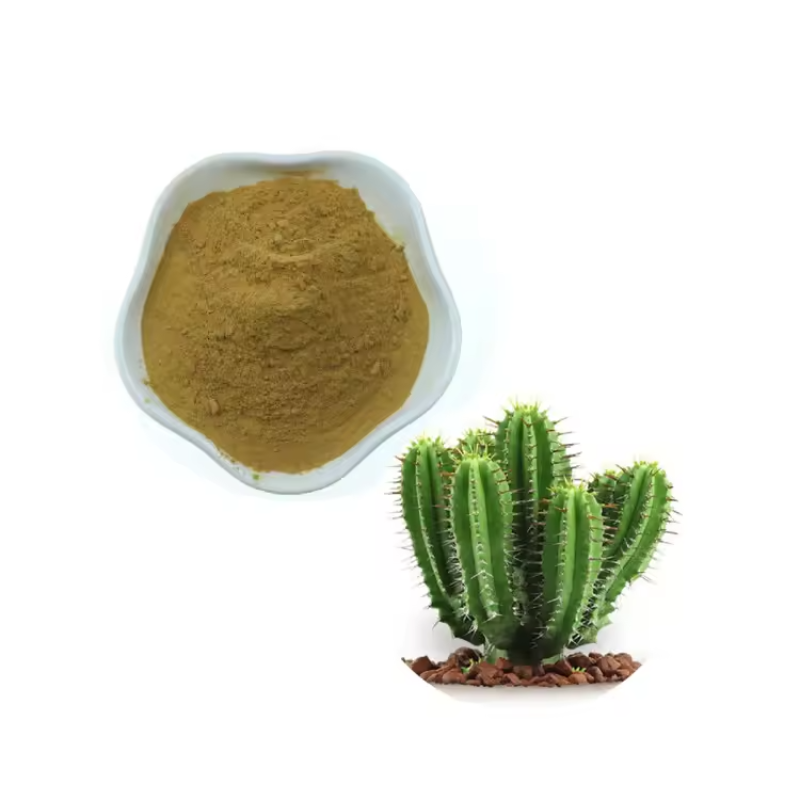 Cactus Extract Supplier - Opuntia Ficus-indica Powder