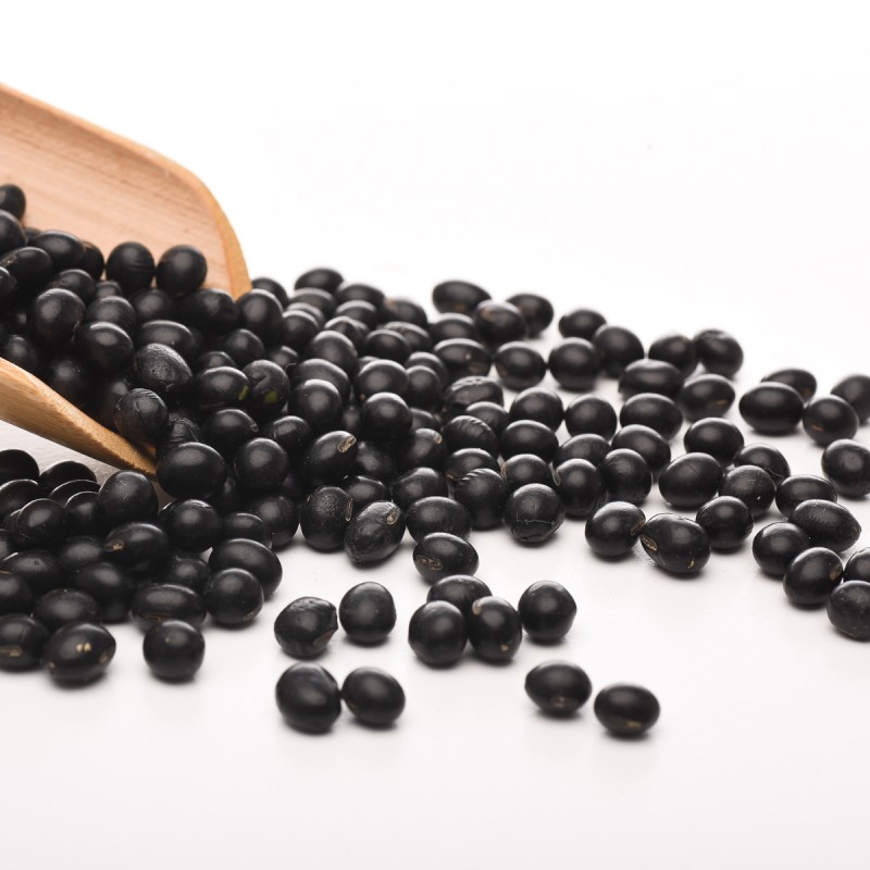 Soybean Supplier - Dried Black High Quality Price