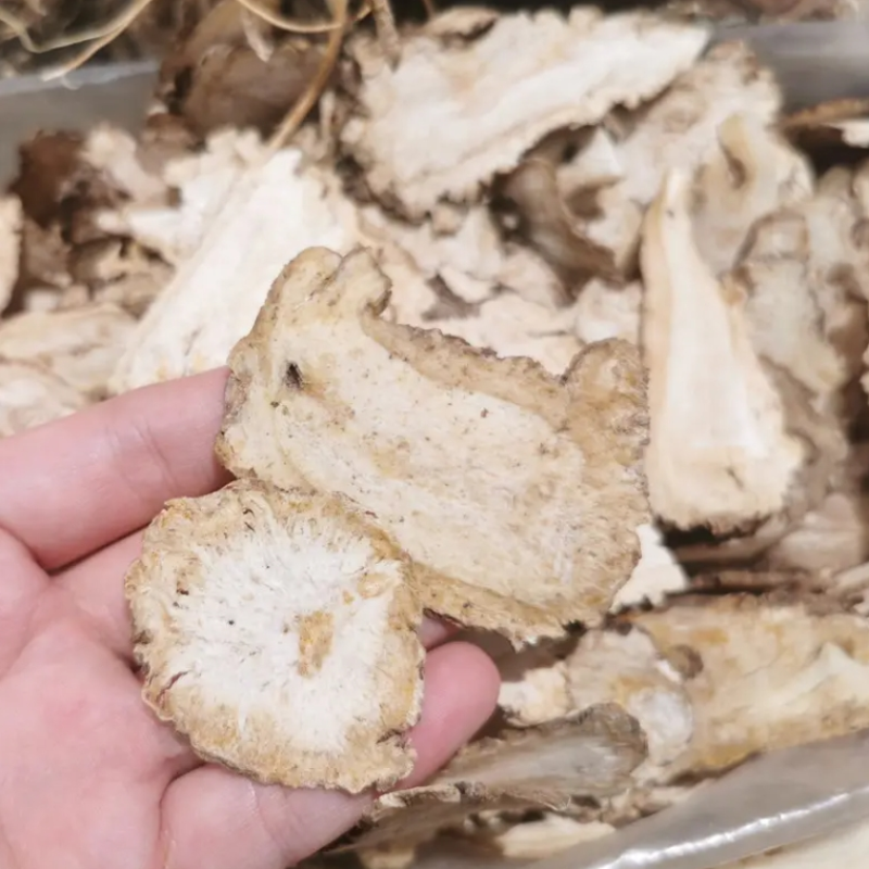 Angelica Root Supplier - Organic Radix Sinensis Single Herb