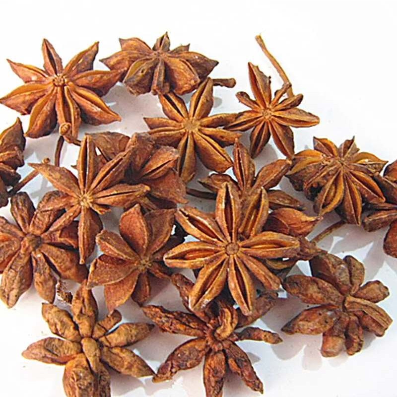 Star Anise Powder Manufacturer - Fennel Cumin Extract Factory