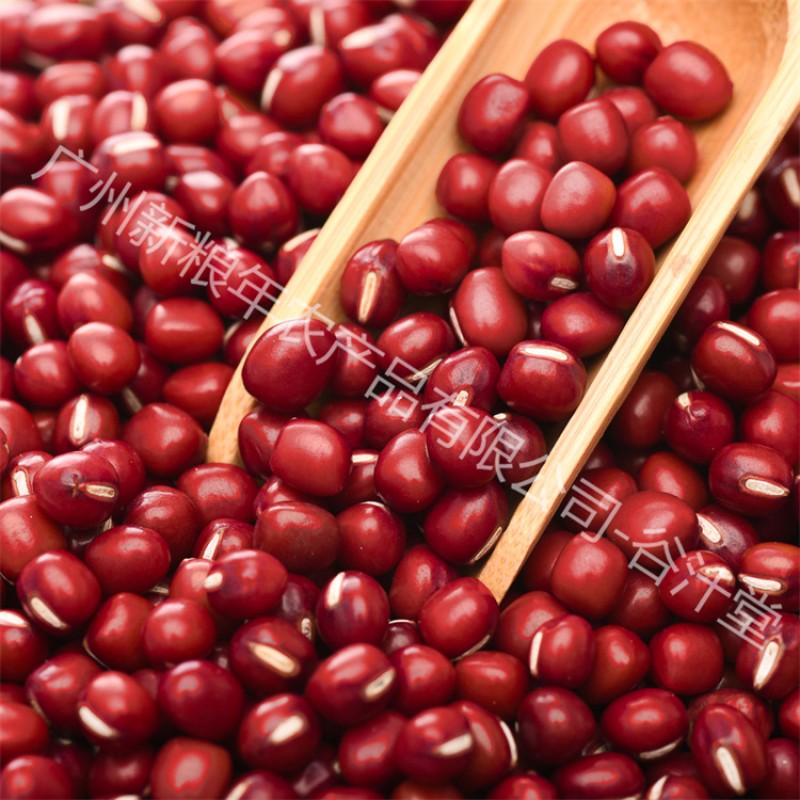 Red Bean Supplier - China High Quality Round Beans