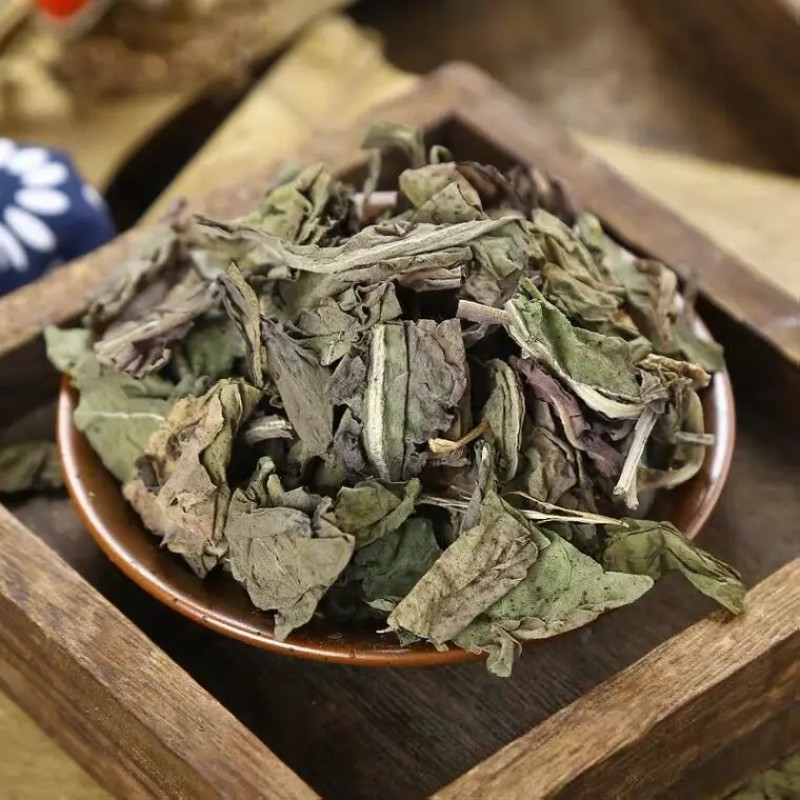 Isatis Leaf Supplier - Bulk Organic Radix Isatidis Cheap