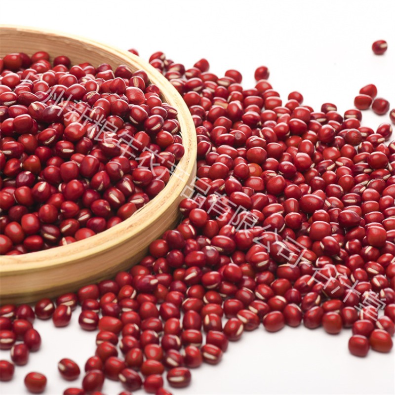 Red Bean Supplier - China High Quality Round Beans