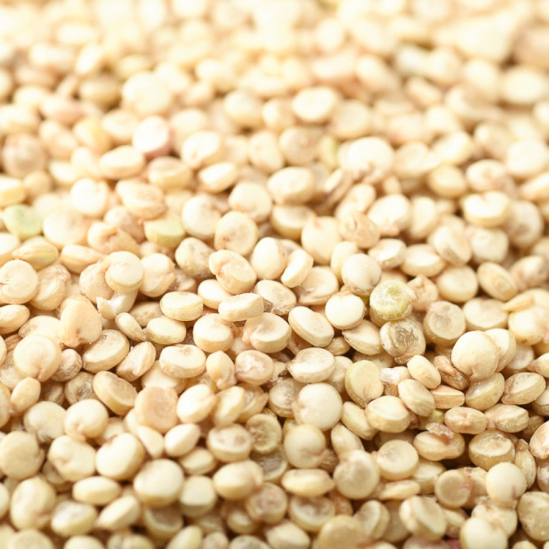 White Quinoa Manufacturer - Branded Grain Wholesale