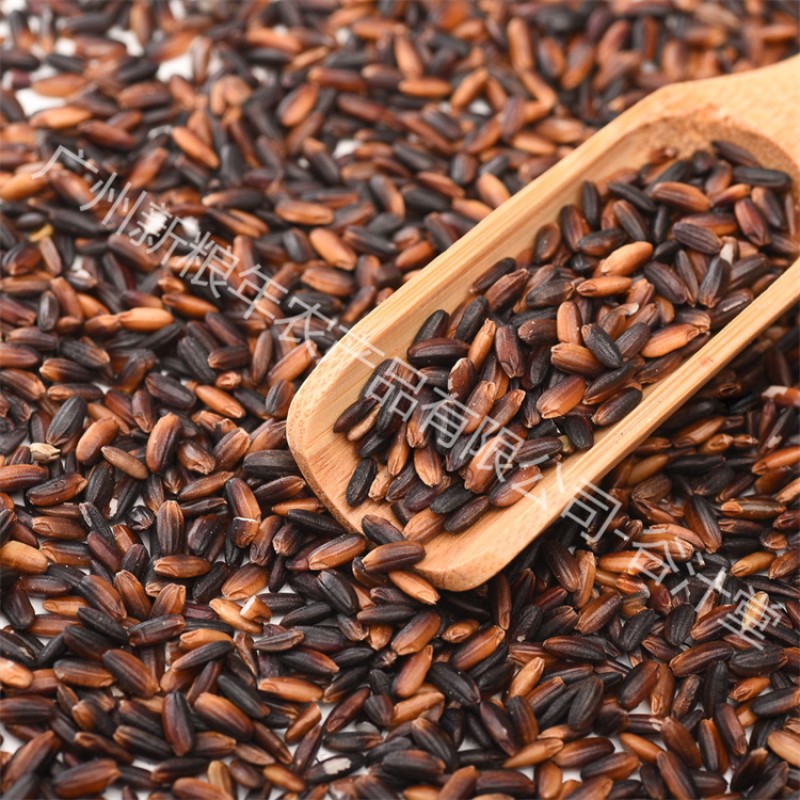 Black Rice Manufacturer - Glutinous Natural Organic Polished