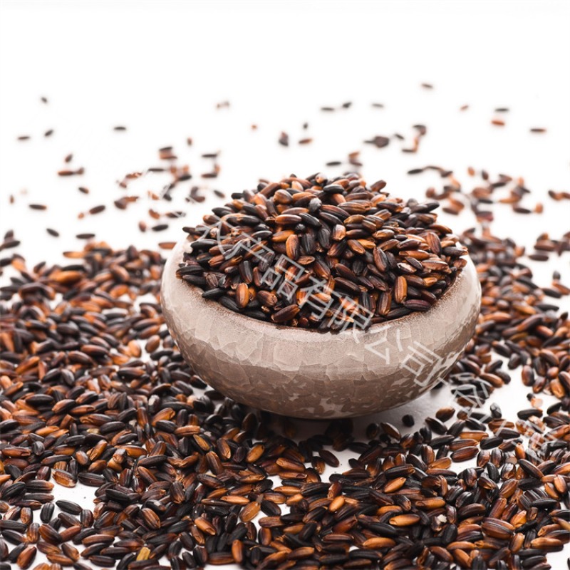 Black Rice Manufacturer - Glutinous Natural Organic Polished