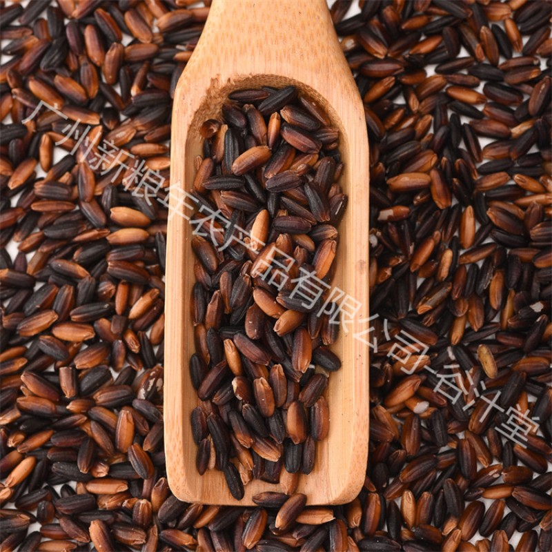 Black Rice Manufacturer - Glutinous Natural Organic Polished