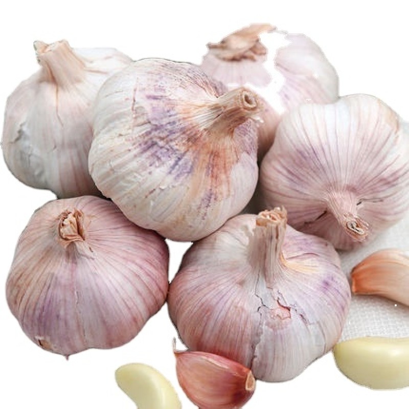 Garlic Manufacturer - Mixed Spices Fresh Dry Economical