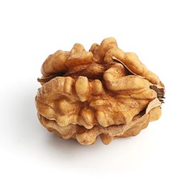 Walnut Kernels Supplier - Chinese Origin Roasted Kernels