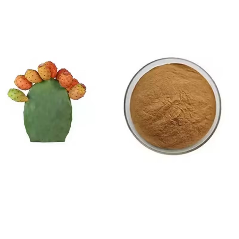 Cactus Extract Supplier - Opuntia Ficus-indica Powder