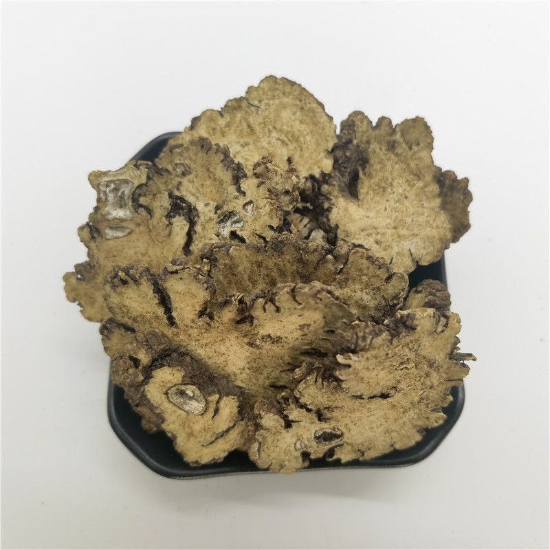 Chuanxiong Herb Factory - High-quality Chinese Herb Complete