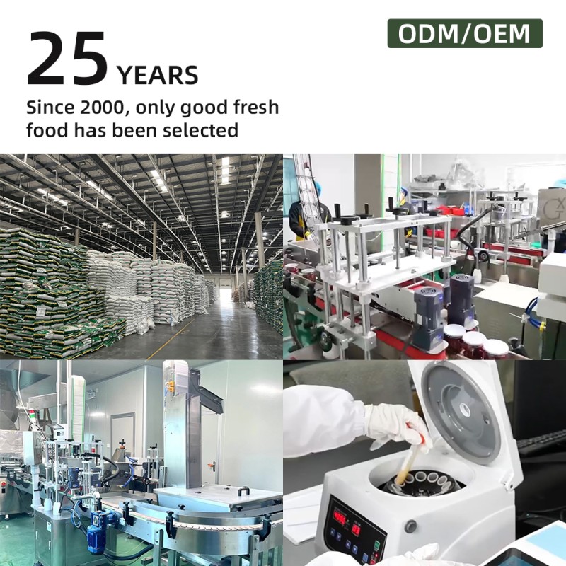 Melon Powder Manufacturer - Cantaloupe Honeydew Juice