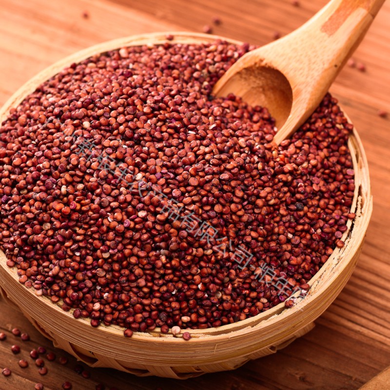 Red Quinoa Supplier - Fashion Seeds Branded Sale