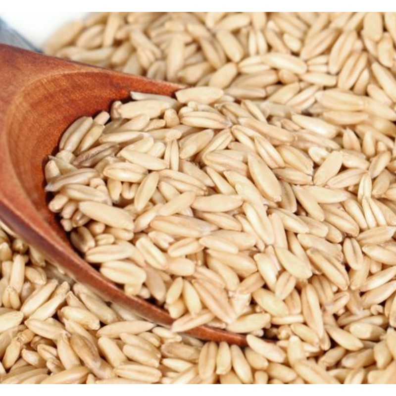 Oatmeal Rice Supplier - Vacuum Packaged Natural Germ