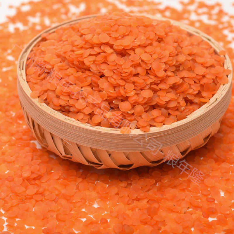 Red Lentils Factory - Split No Impurities Hot Seller