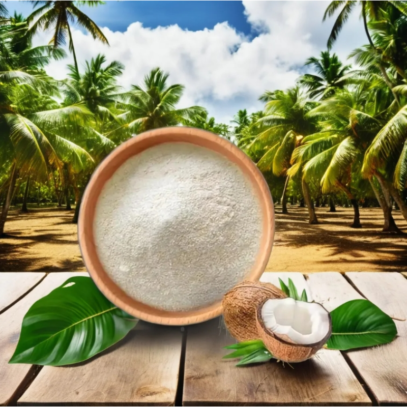 Coconut Powder Factory - Desiccated Milk Water Powder
