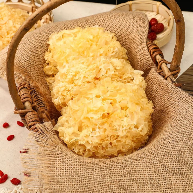 White Fungus Manufacturer - Tremella Mushroom High Quality