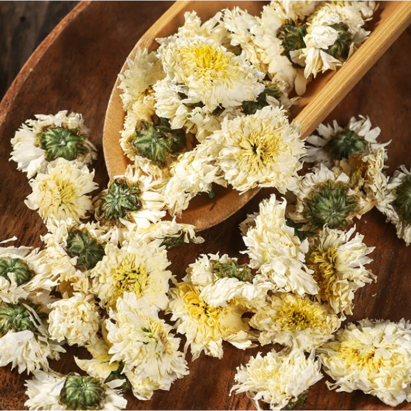 Chrysanthemum Flower Supplier - Summer White Golden Herbal Tea