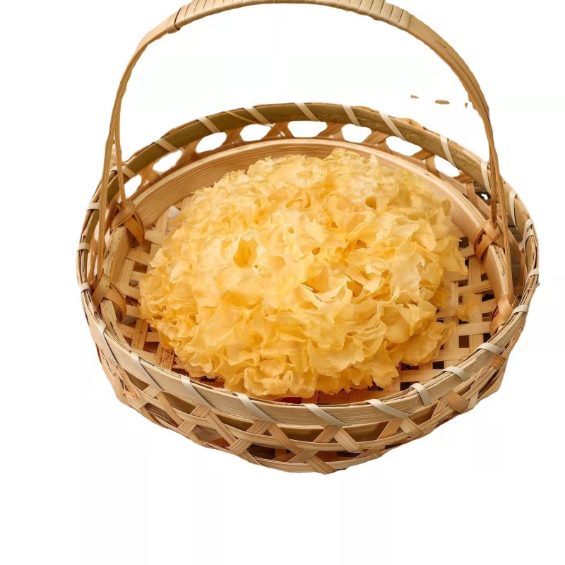 White Fungus Manufacturer - Tremella Mushroom High Quality