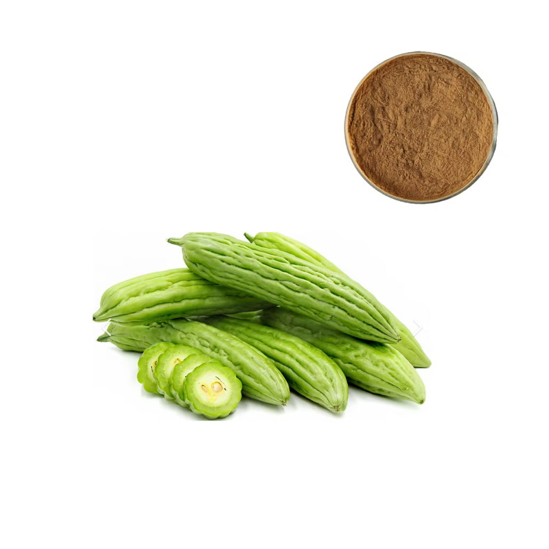 Bitter Melon Extract Supplier - 10% Glycoside Gourd Powder