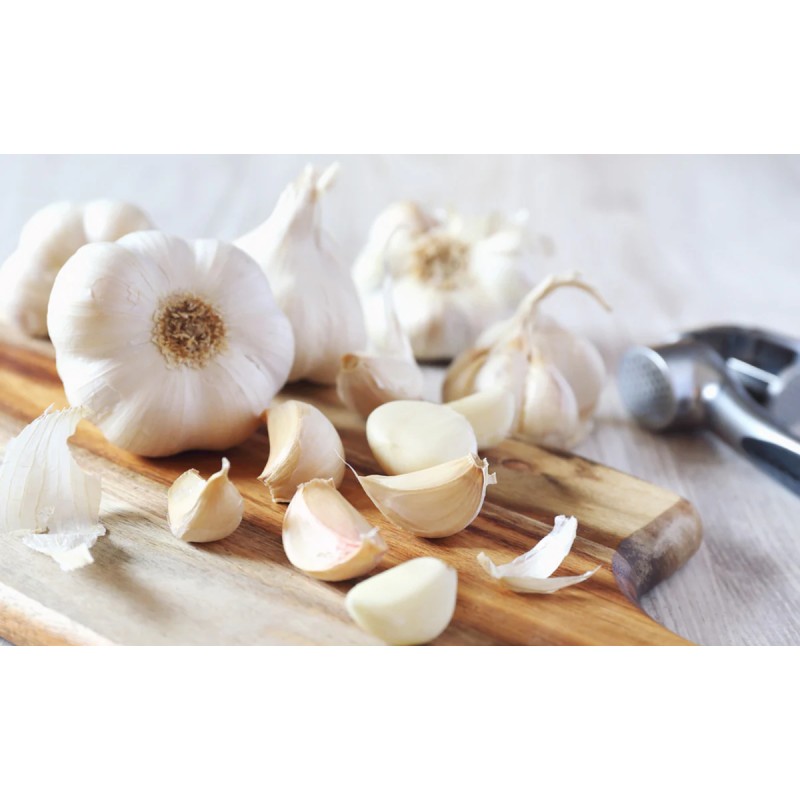 Garlic Supplier - Non Peeled High Grade Pickle Cooking