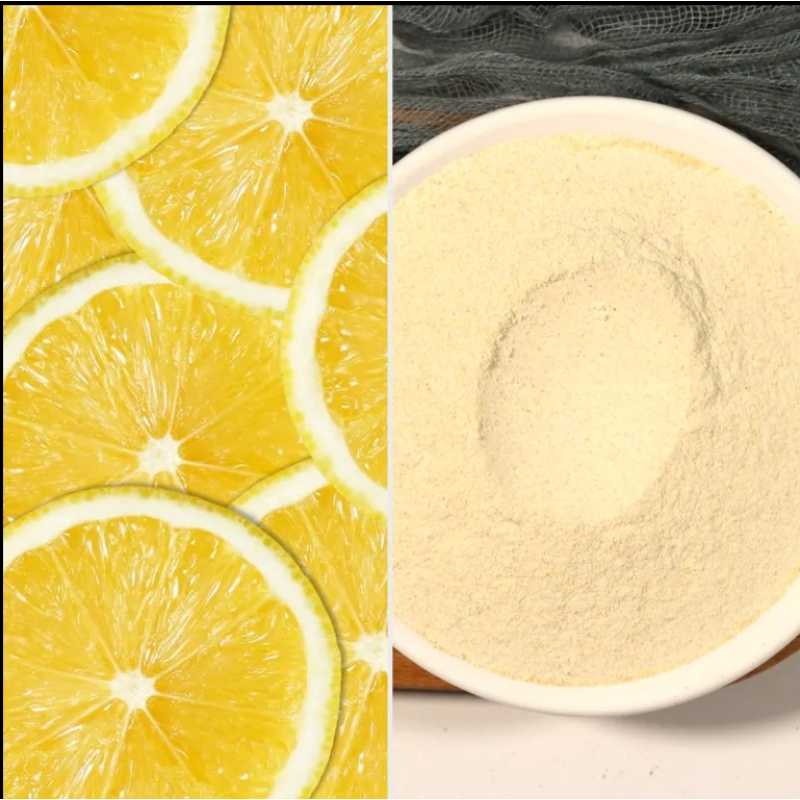 Lemon Powder Manufacturer - 100% Natural Organic Flavour