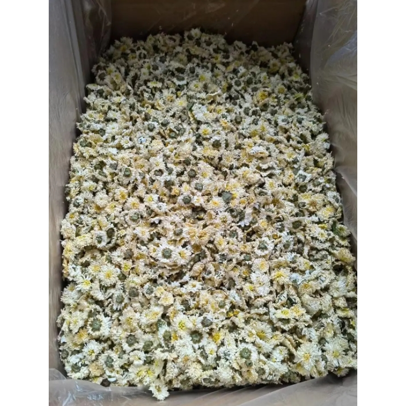 Chrysanthemum Flower Supplier - Summer White Golden Herbal Tea