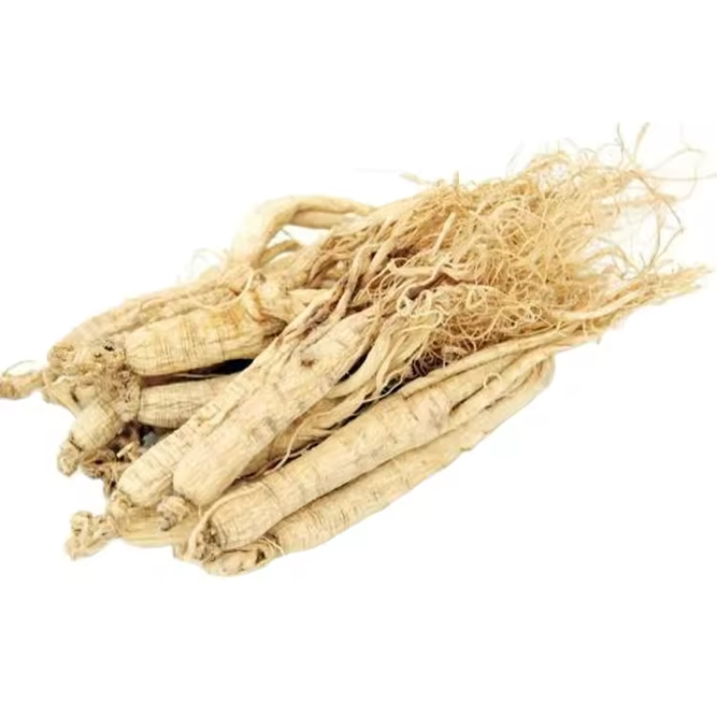 American Ginseng Supplier - High Quality Extract Powder