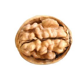 Walnut Kernels Factory - Lightly Ripened Delicious Nuts
