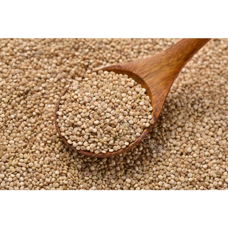 Quinoa Rice Manufacturer - Puffed Tri Color Superior Quality