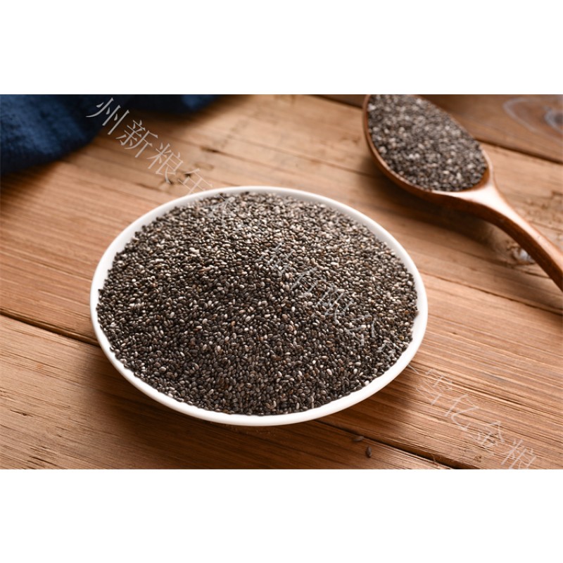 Chia Seeds Supplier - Organic Direct Supply Wholesale