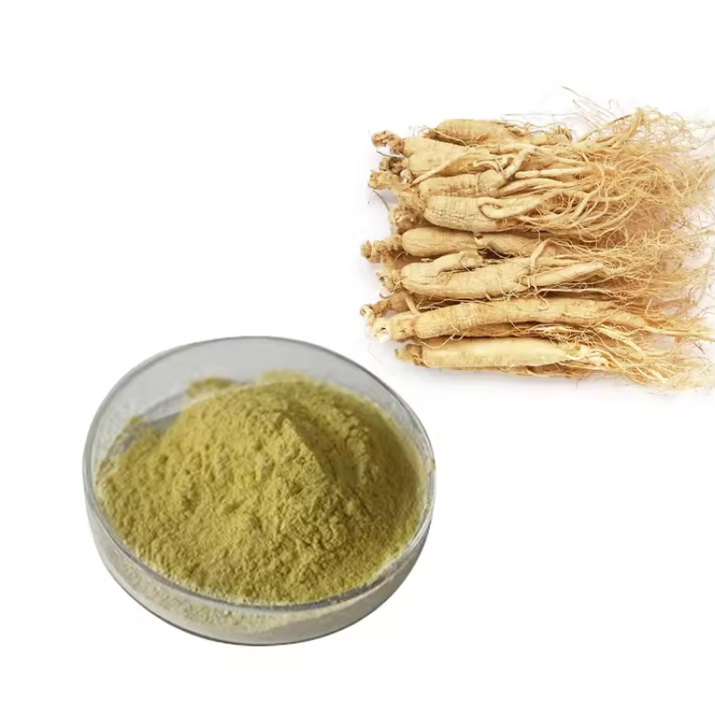 Ginseng Extract Factory - Panax American Root Extract Bulk
