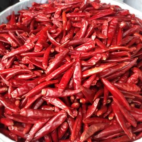 Chili Peppers Supplier - Organic Red Dried China Wholesale